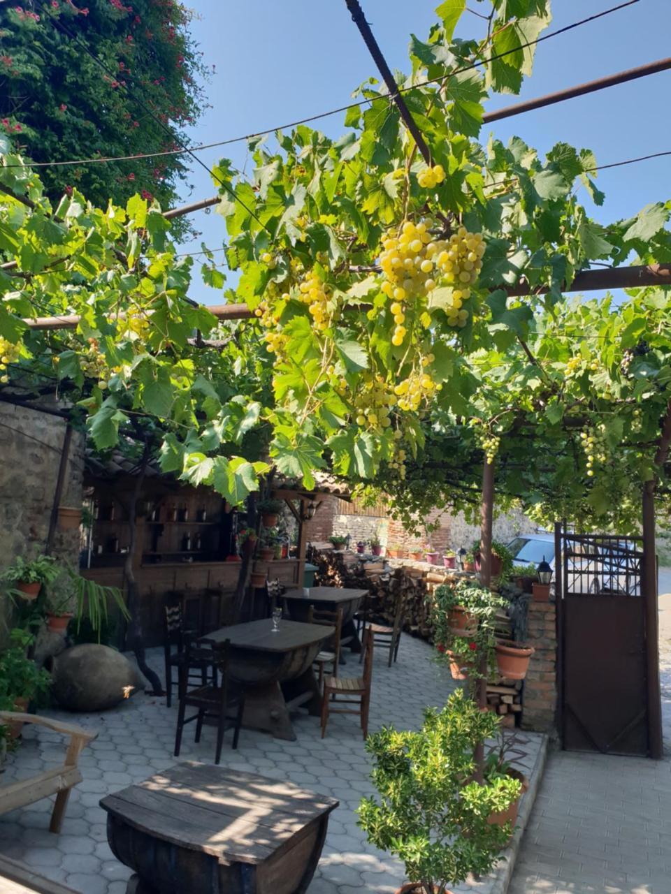 西格纳吉 库斯卡旅馆酒店 外观 照片